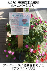 アーケード街に植栽されている「サンパチェンス」