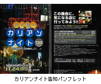 カリアンナイト告知パンフレット